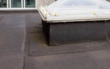 disadvantages of Mapperton flat roofs
