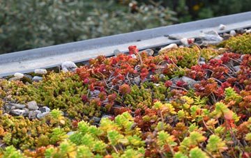 the cost of Mapperton green roof installation