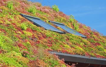 Mapperton living roof systems